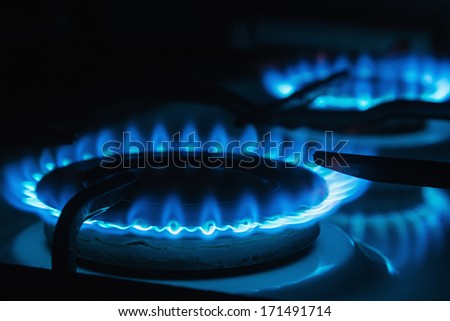 Blue flames of gas burning from a kitchen gas stove Focus the front edge of the hotplate Blue flames of gas burning from a kitchen gas stove Focus the front edge of the hotplate