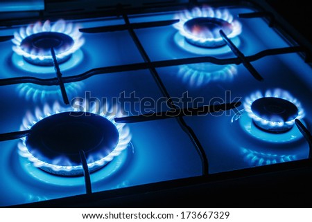 Blue flames of gas burning from a kitchen gas stove Focus the front edge of the hotplate Blue flames of gas burning from a kitchen gas stove Focus the front edge of the hotplate