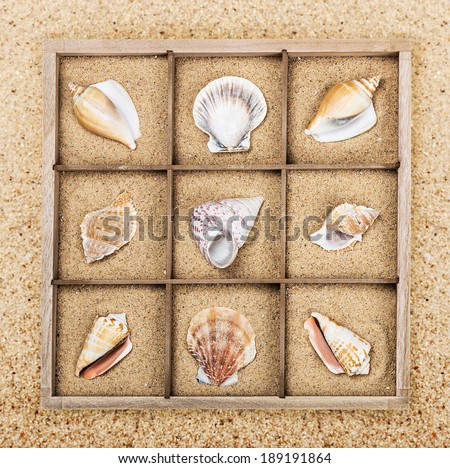 different seashell in a wooden box with sand
