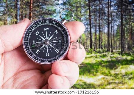 compass in hand paves the route through the forest