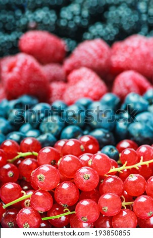 various berries background. Shallow depth of Field, focus on red currants