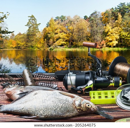 fishing tackle and caught fish on the table autumn day