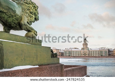 Cabinet of Curiosities in St. Petersburg at dawn in winter. Russia. Focus on the cabinet of curiosities