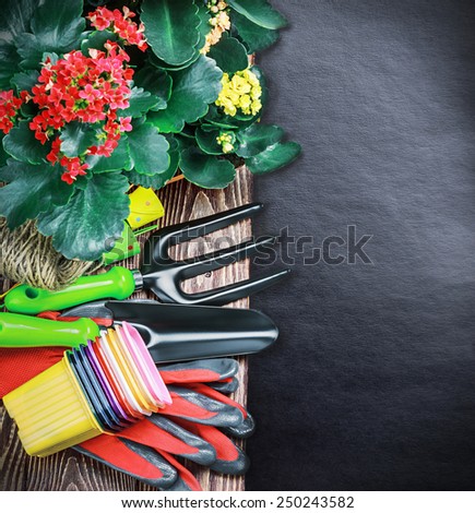 Gardening tools on a black background. Black background can be used for text. Focus in the middle of the frame