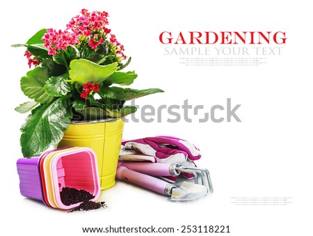 garden tools with flowers isolated on white background. The text serves as a model and can be easily removed. focus on tools