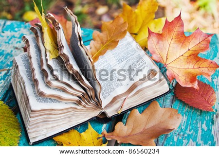 book in the autumn leaves on the bench in the park