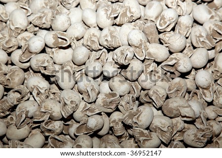 stock photo pile of skulls