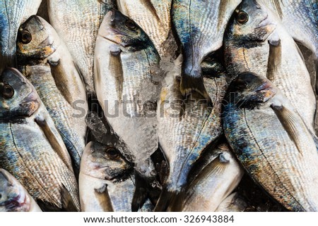 Fish on a stall in a fish market in an Italian city. Quicksilver. When good food becomes even beauty and color.