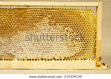 Wooden frame for mounting in a beehive where the bees accumulate wax combs