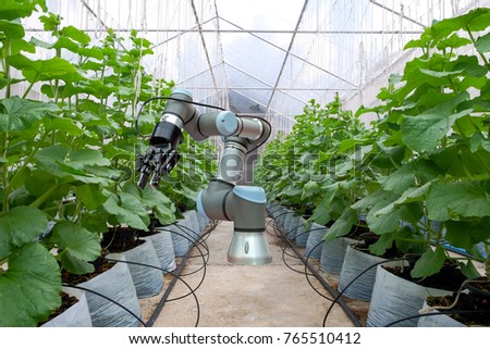Smart robot installed inside the greenhouse. For the care and help farmers harvest the melon, smart farm on farming 4.0 concept.