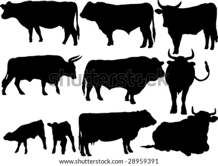 Cattle Silhouette