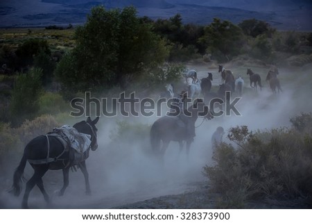 Cowboys riding a horse over the mountains