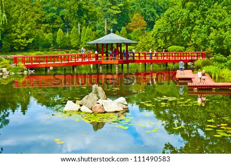 Japanese Water Garden