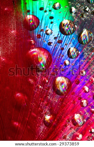 Multi-colored drops on an iridescent surface