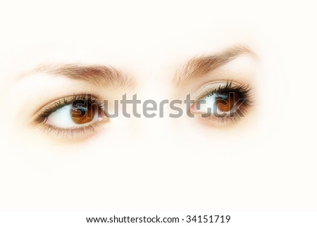 Abstract brown eyes, isolated on Abstract brown eyes, isolated on