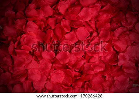 [Obrazek: stock-photo-rose-petals-background-170286428.jpg]