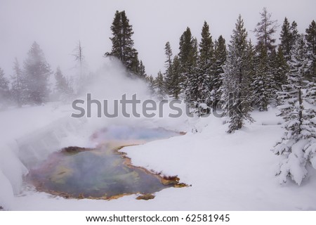 hot spring in snow field, yellowstone national park