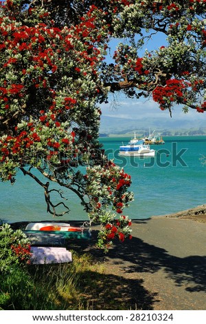 Harbor retreat - Pohutukawa tree in blossom and anchored boat