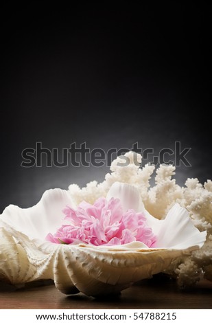 See shell and flower
