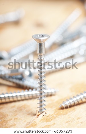metal screw, driven into wood base, macro shot