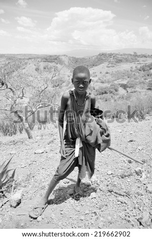 SERENGETI, TANZANIA -OCTOBER 20: Unidentified young Masai boy walk in the Africa bush to protect cattle on october 20, 2010 in the Serengeti, Tanzania