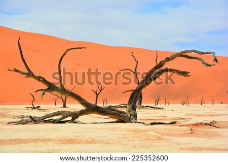 Deadvlei is a white clay pan located near the more famous salt pan of Sossusvlei, inside the Namib-Naukluft Park in Namibia. Also written DeadVlei or Dead Vlei, its name means \