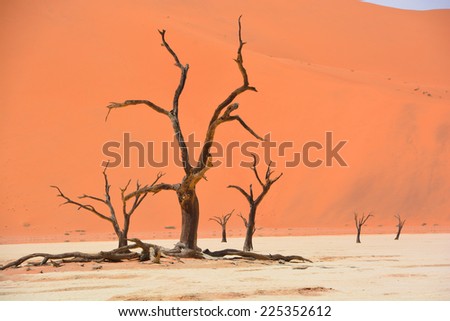 Deadvlei is a white clay pan located near the more famous salt pan of Sossusvlei, inside the Namib-Naukluft Park in Namibia. Also written DeadVlei or Dead Vlei, its name means 