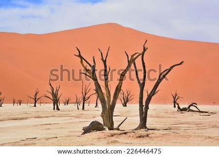 Deadvlei is a white clay pan located near the more famous salt pan of Sossusvlei, inside the Namib-Naukluft Park in Namibia. Also written DeadVlei or Dead Vlei, its name means \