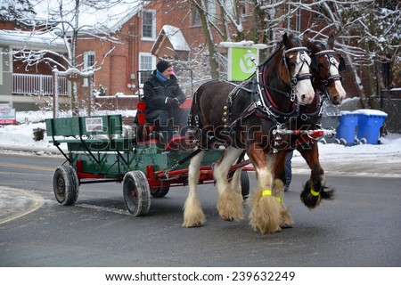 KNOWLTON - LAC BROME, QUEBEC, CANADA, DECEMBER 20: An unidentified group of people on a wagon ride pulled by draft horses on December 22 2014 in Knowlton Quebec canada