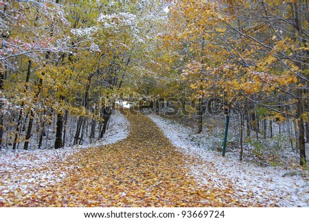 Walking path in a park in early winter