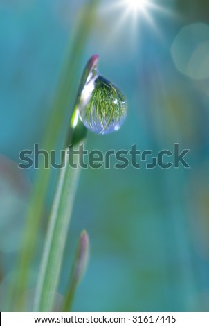 Dew drop on tip of blade of grass reflecting the larger field of grass