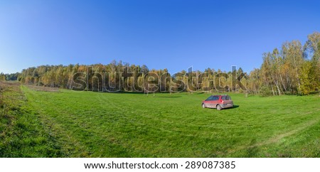 Green field with orange car on it panorama in sunny weather, the birch copse behind
