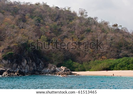 Unidentified swimmers on a hide away beach on a tropical beach.