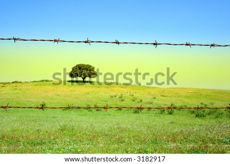 Spring landscape - green fields, the blue sky - framed with barbed wire