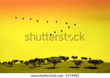Green field with trees and birds in classic \
