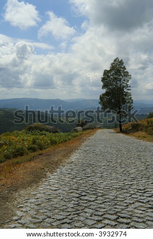 Autumn landscape -Road through mountain