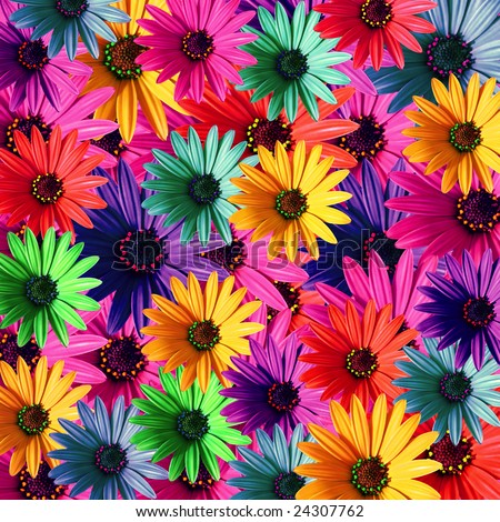 multi colored daisy flowers pattern background