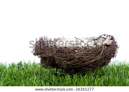 Straw Nest