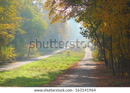 early fall background with pathways and trees
