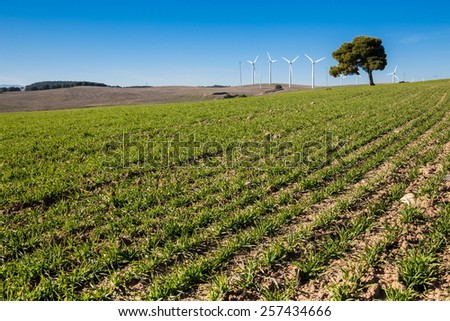wind farm for a sustainable future