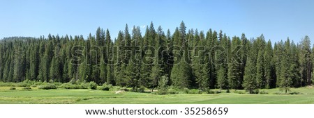 greenland at Yosemite Park