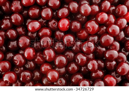 The ripe washed out cherry. High-resolution background for large-format print