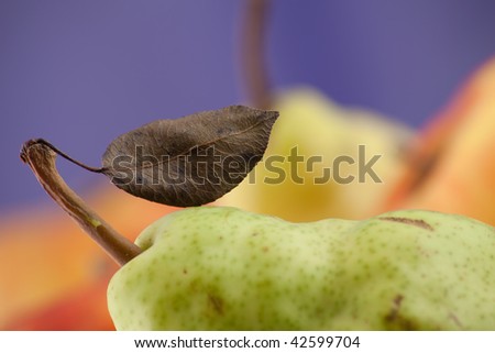 Pear part with leaflet on blue background  with an red apple out of focus. Focus limited.