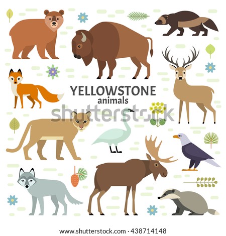 Vector illustration of Yellowstone National Park animals: moose, elk, bear, wolf, fox, bison, badger, wolverine, mountain lion, bald eagle, swan, isolated on transparent background.