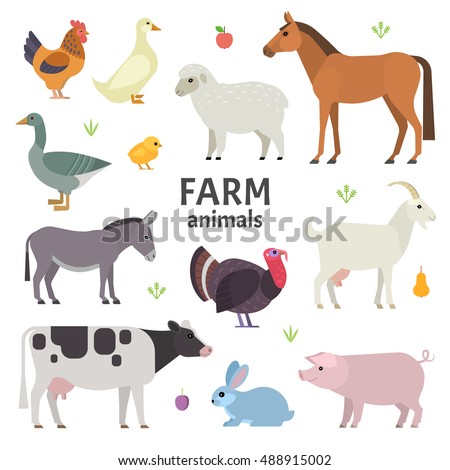 Vector collection of farm animals and birds in trendy flat style, including horse, cow, donkey, sheep, goat, pig, rabbit, duck, goose, turkey and chicken, isolated on white.