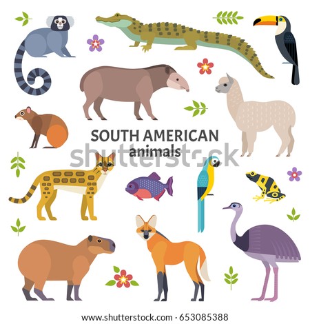 South American Mammal Letters South American Mammal Letters