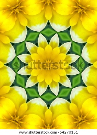 yellow flower in green circle abstract