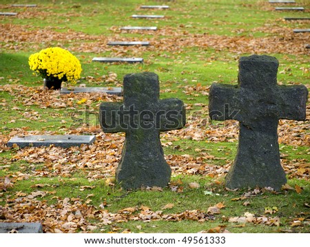 Yellow flowers, crosses and the tombstones at the German war cemetery near Ypres, Belgium