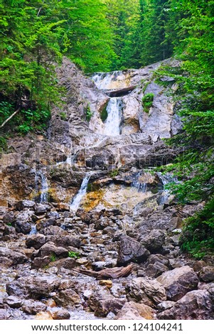 Stream in the forest in Zakopane Mountains, Poland