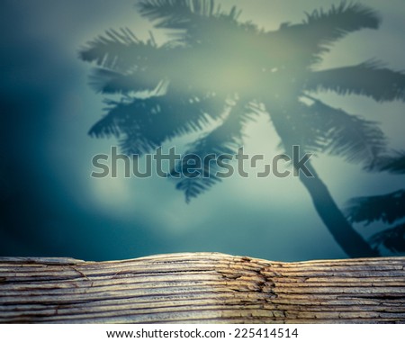 Retro Filtered Photo Of Palm Tree Shadow On Calm Hawaiian Ocean